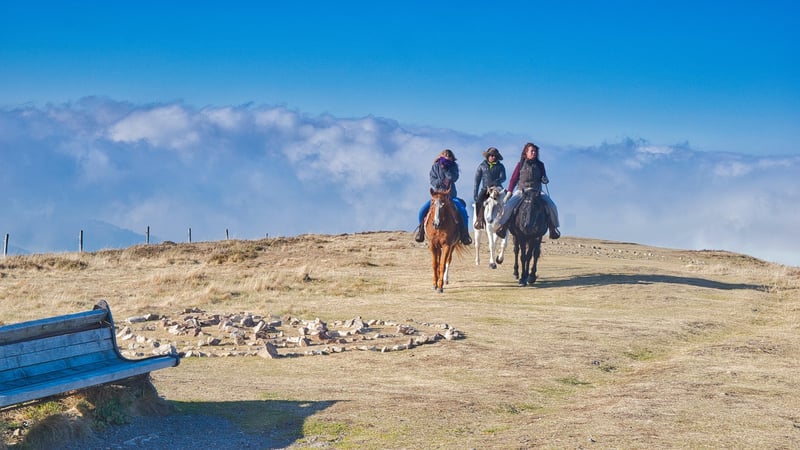 Unicorn Riding Tours